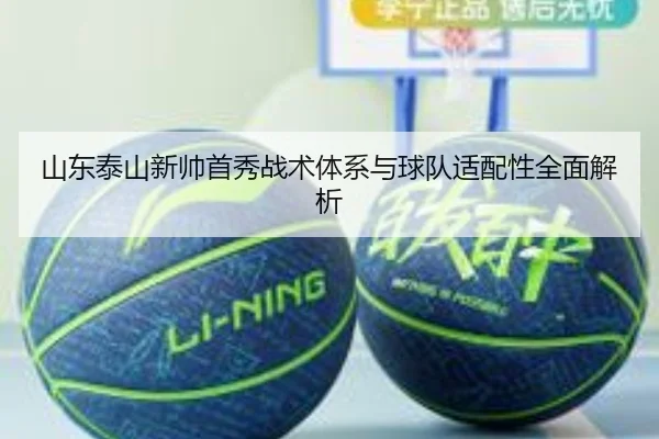 shan-dong-tai-shan-xin-shuai-shou-xiu-zhan-shu-ti-xi-yu-qiu-dui-shi-pei-xing-quan-mian-jie-xi-1-473.jpg