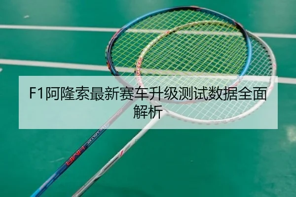 a-long-suo-zui-xin-sai-che-sheng-ji-ce-shi-shu-ju-quan-mian-jie-xi-2-880.jpg